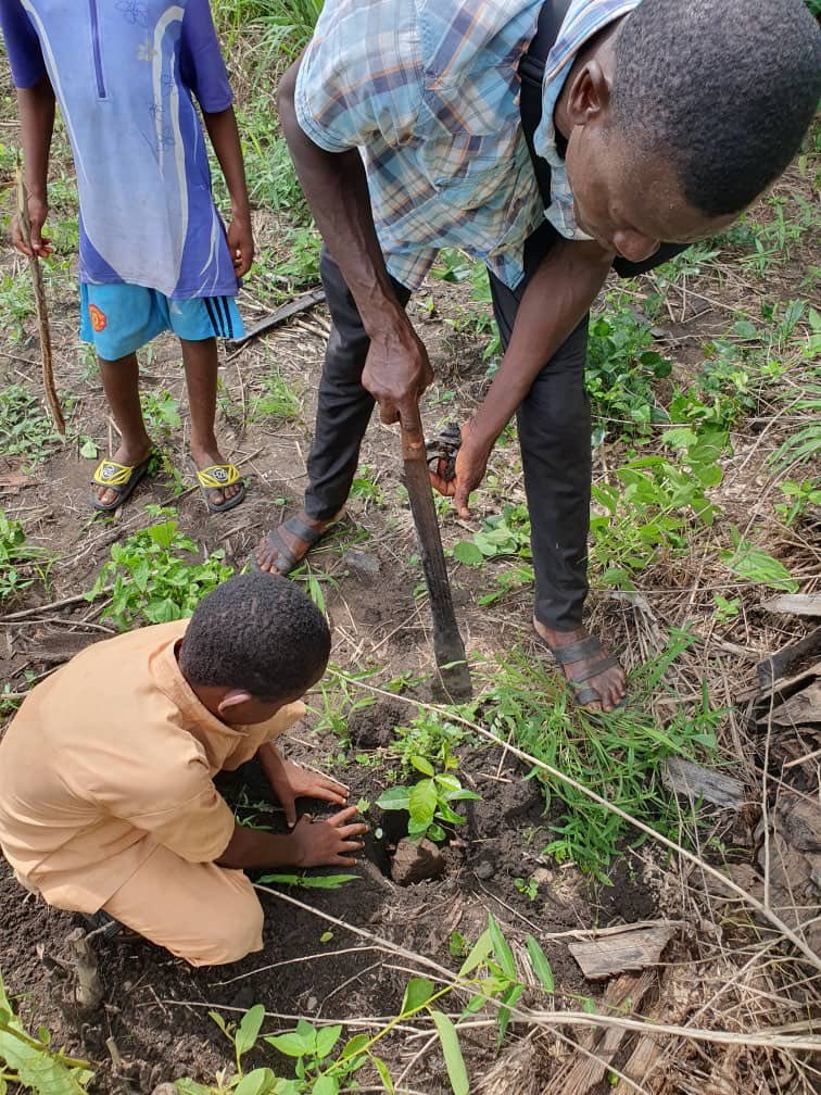 SDD-TOGO - équipe et terrain