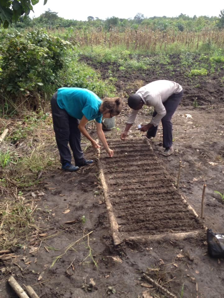 Ferme SDD - travail manuel