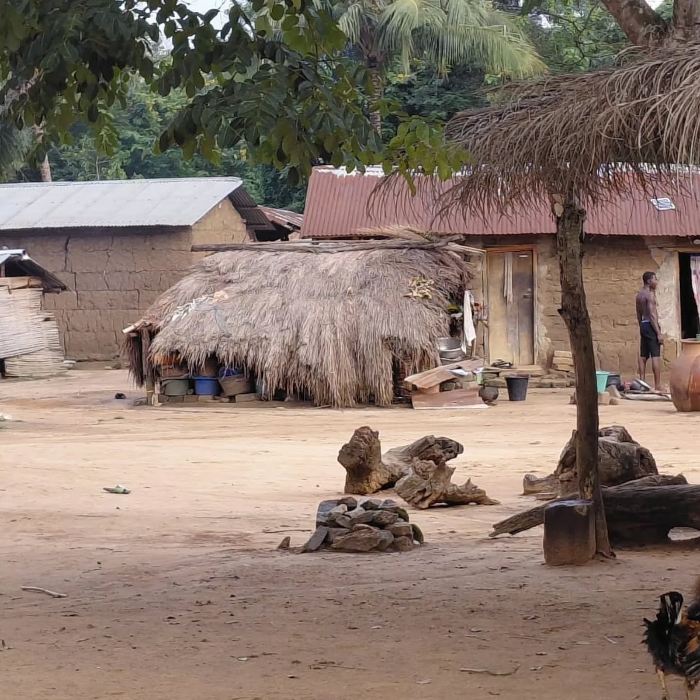 Marche au cœur de la nature