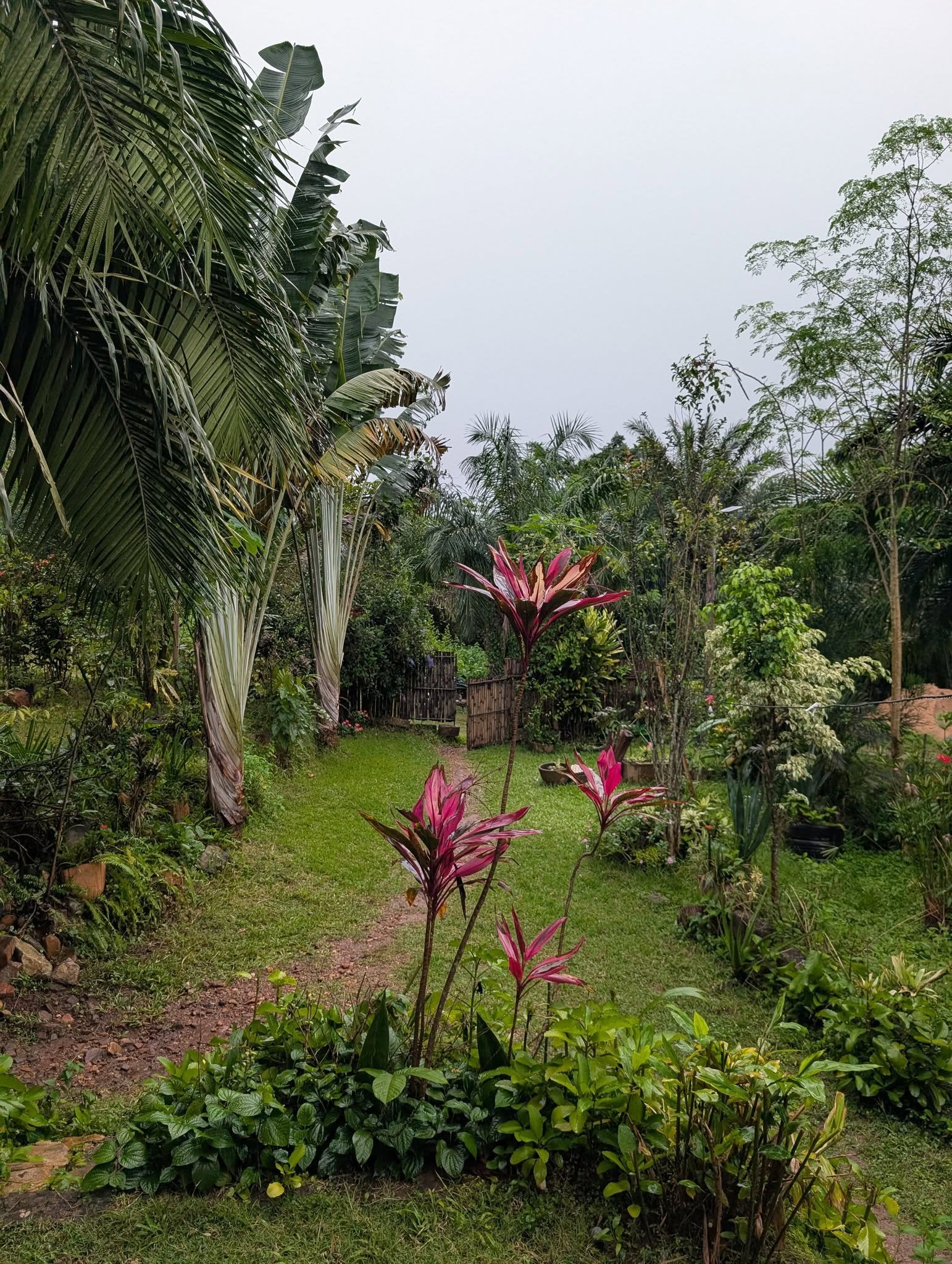 Rencontre avec les enfants