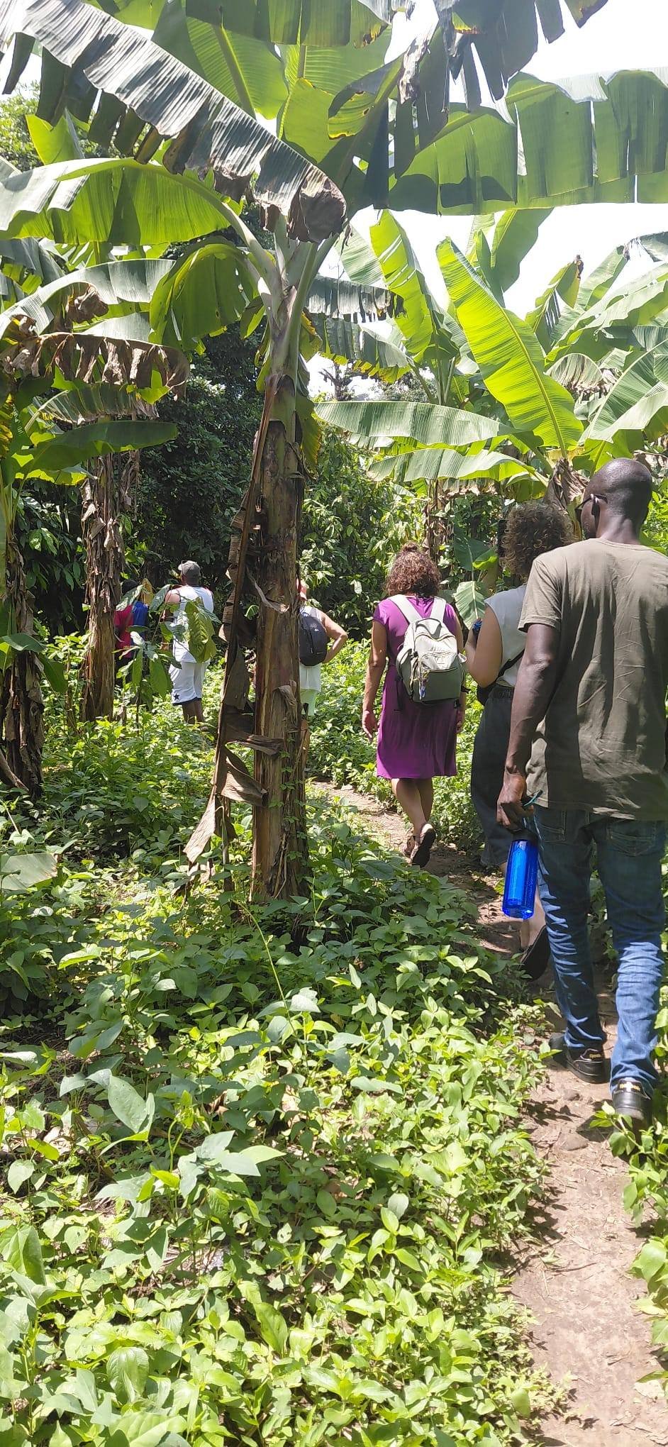 Découverte des matières naturelles