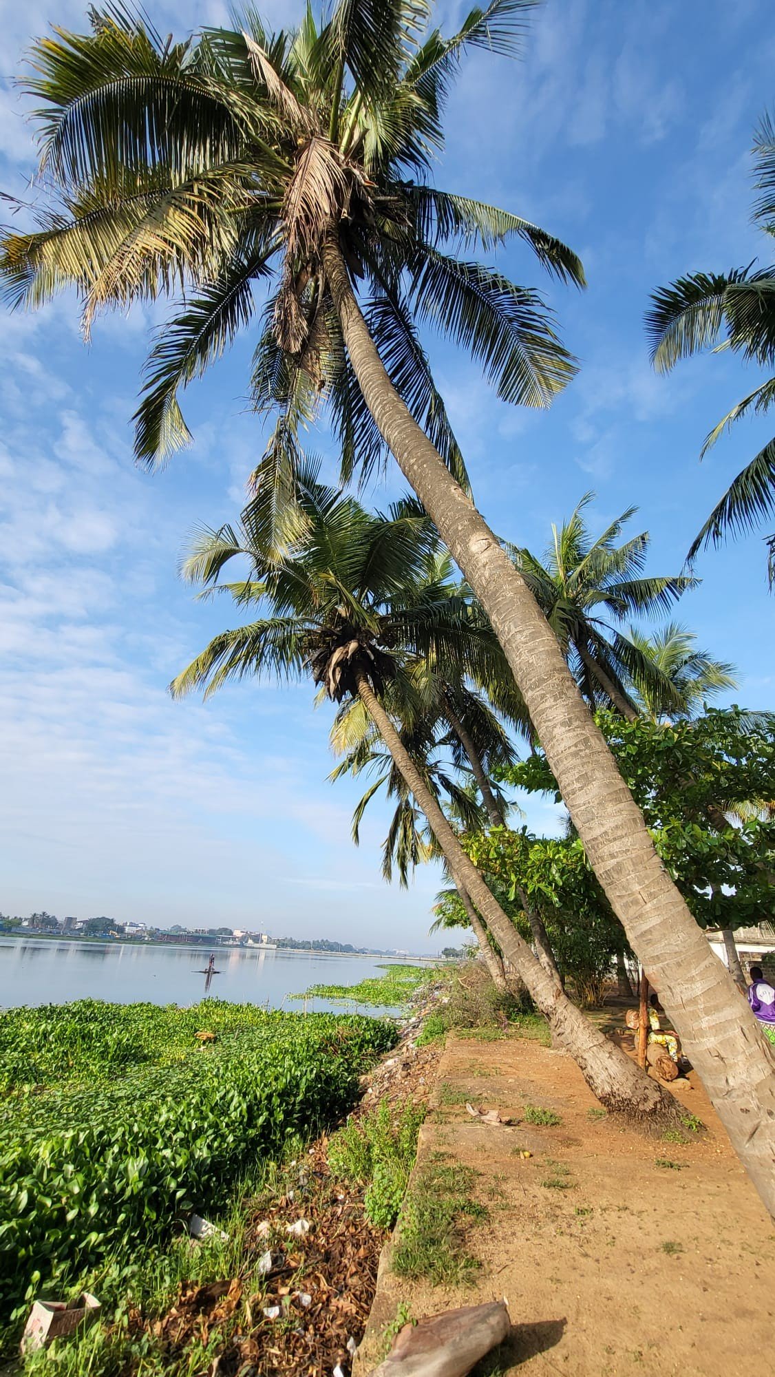 Distribution de bonbons