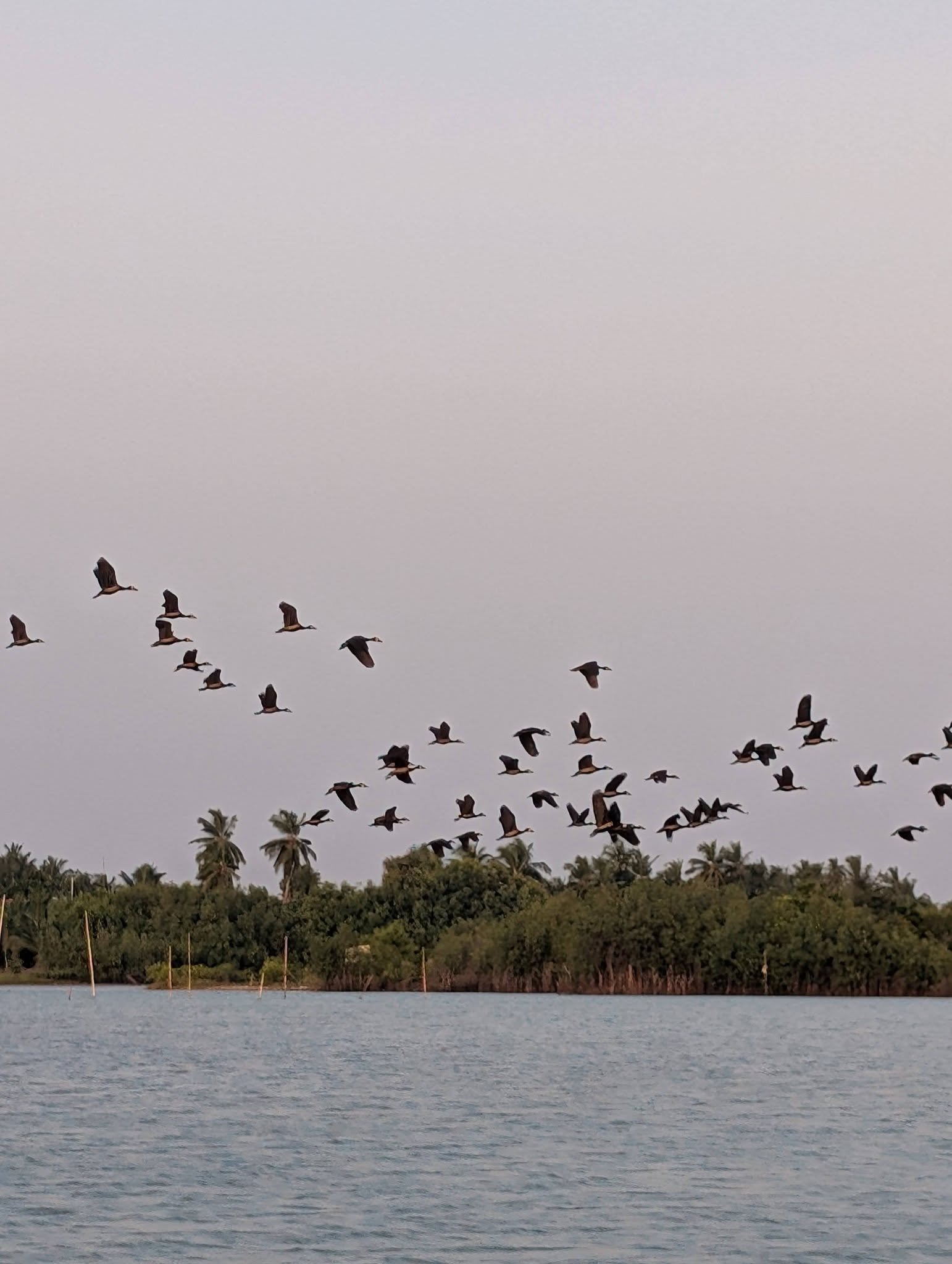 Paysage – nature du Togo